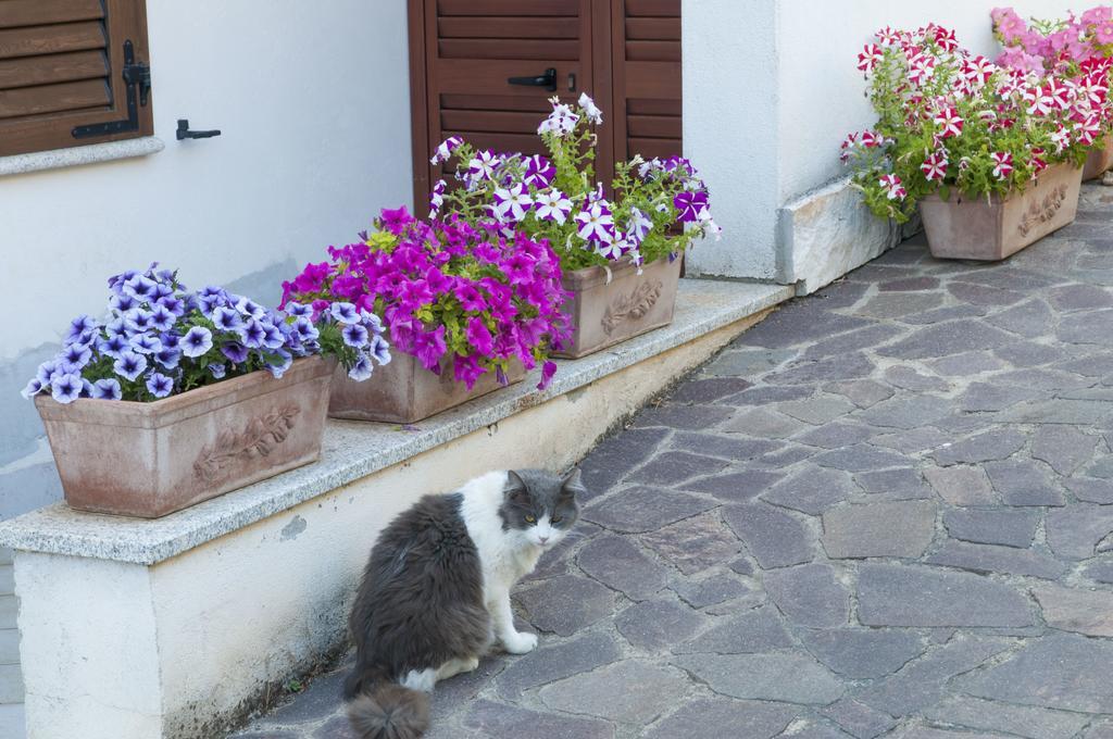 B&B Le Fresie Νουόρο Εξωτερικό φωτογραφία
