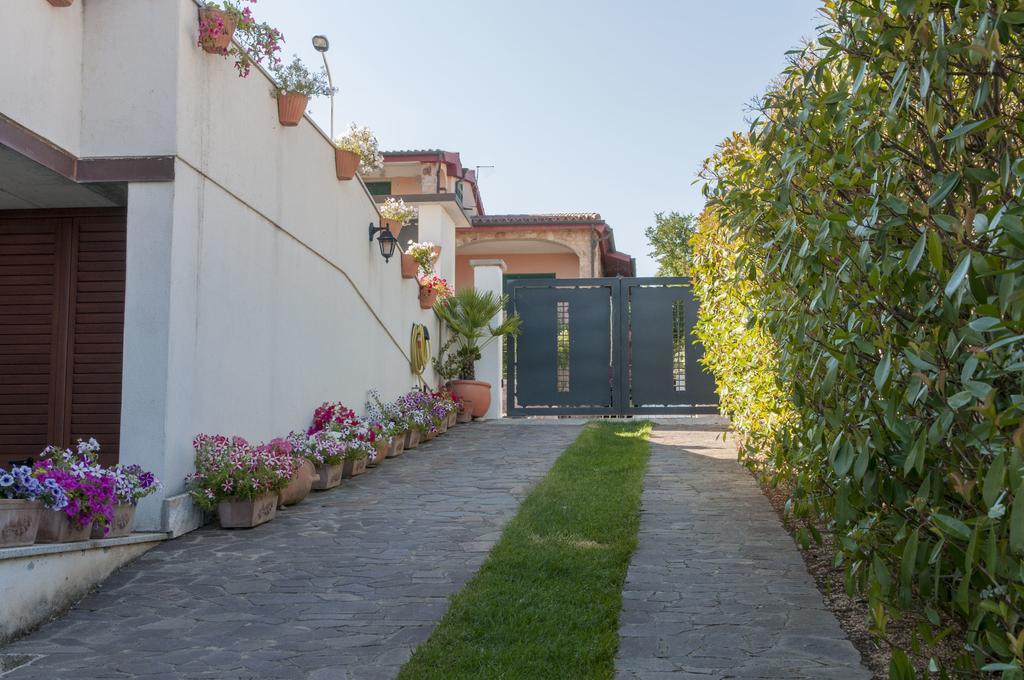 B&B Le Fresie Νουόρο Εξωτερικό φωτογραφία